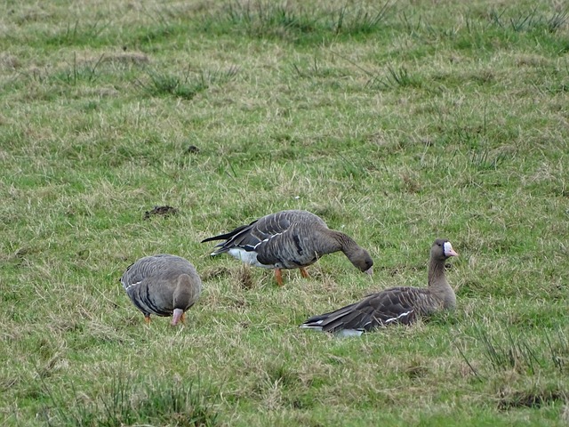 己的价值 己的价值