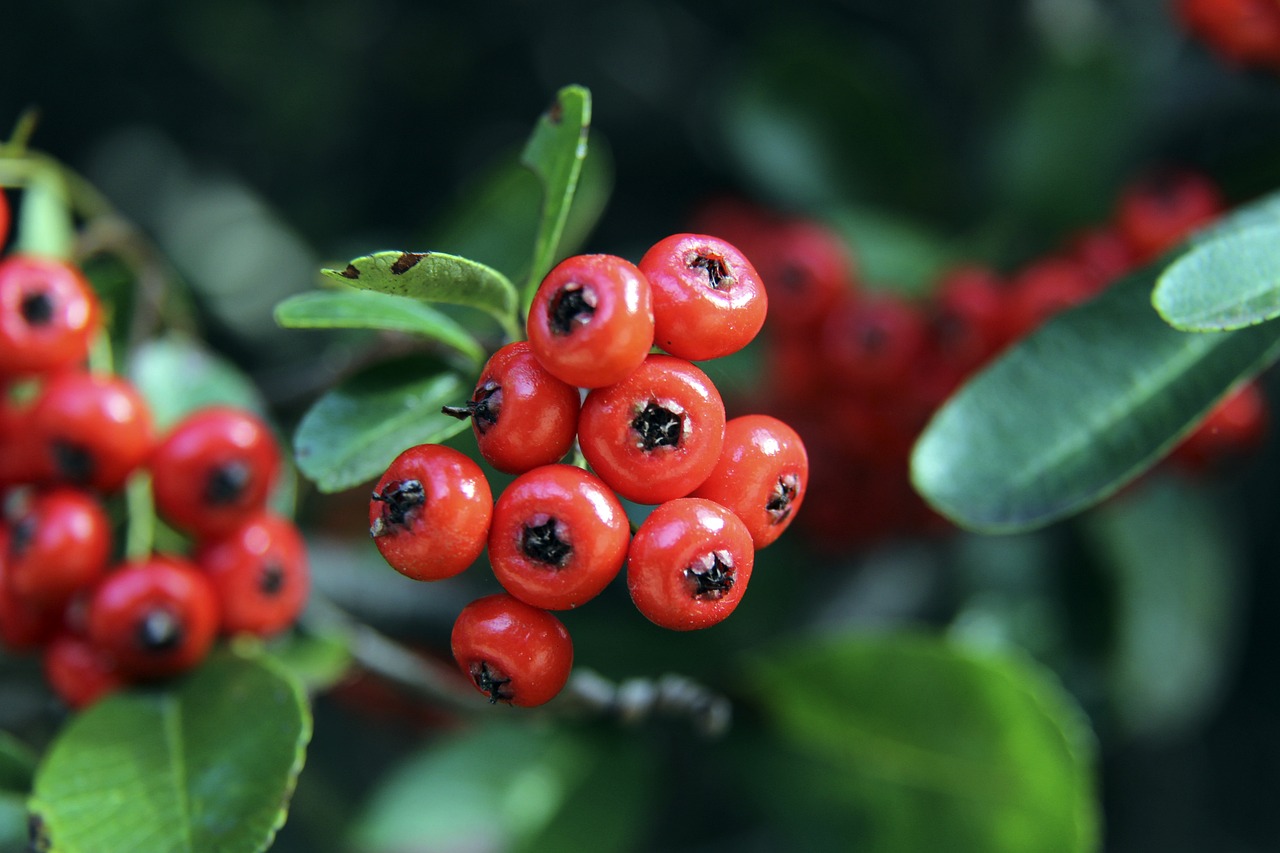 防守优势来 防守优势来